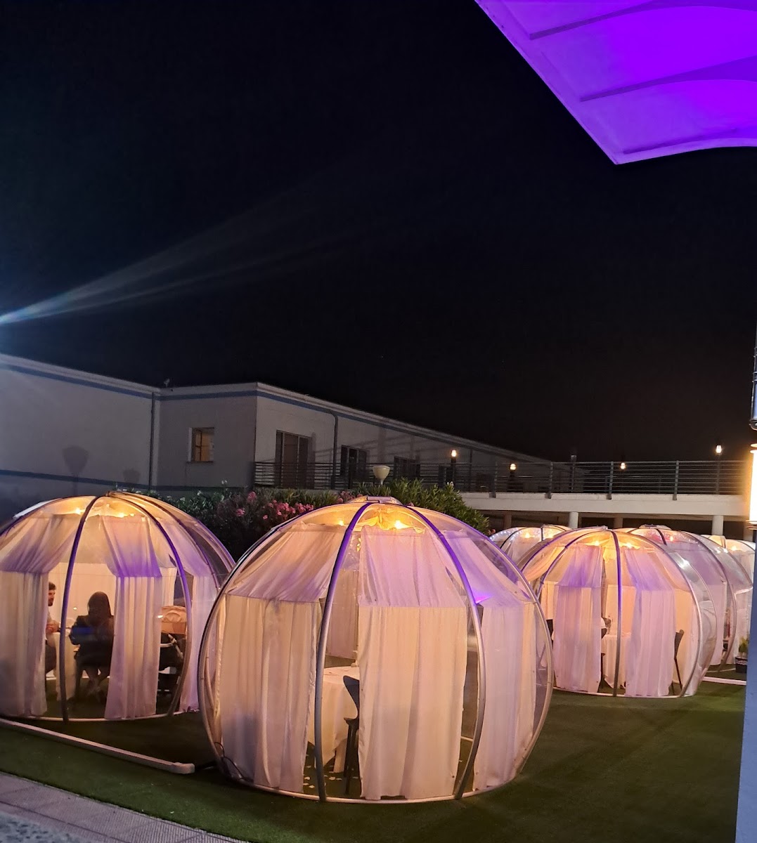 Solidago Restaurant-4